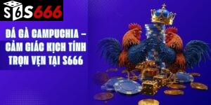Đá Gà Campuchia – Cảm Giác Kịch Tính Trọn Vẹn Tại S666