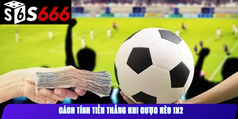 Cách Tính Tiền Thắng Khi Cược Kèo 1x2