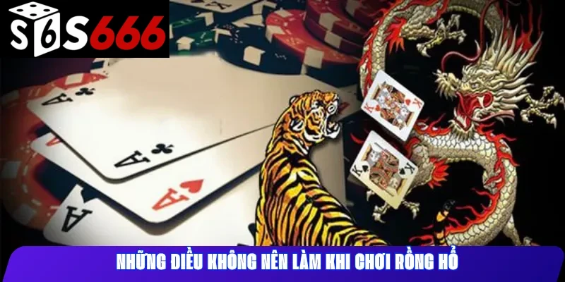 Những Điều Không Nên Làm Khi Chơi Rồng Hổ