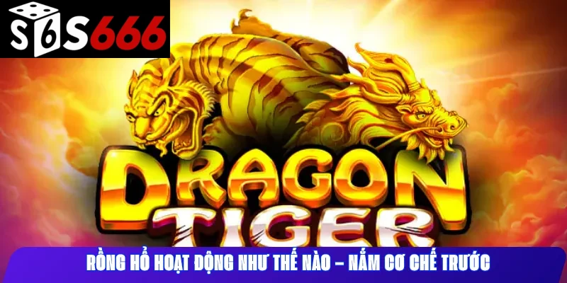 Rồng Hổ Hoạt Động Như Thế Nào – Nắm Cơ Chế Trước
